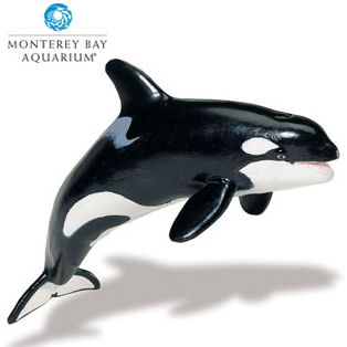 Monterey Bay Aquarium